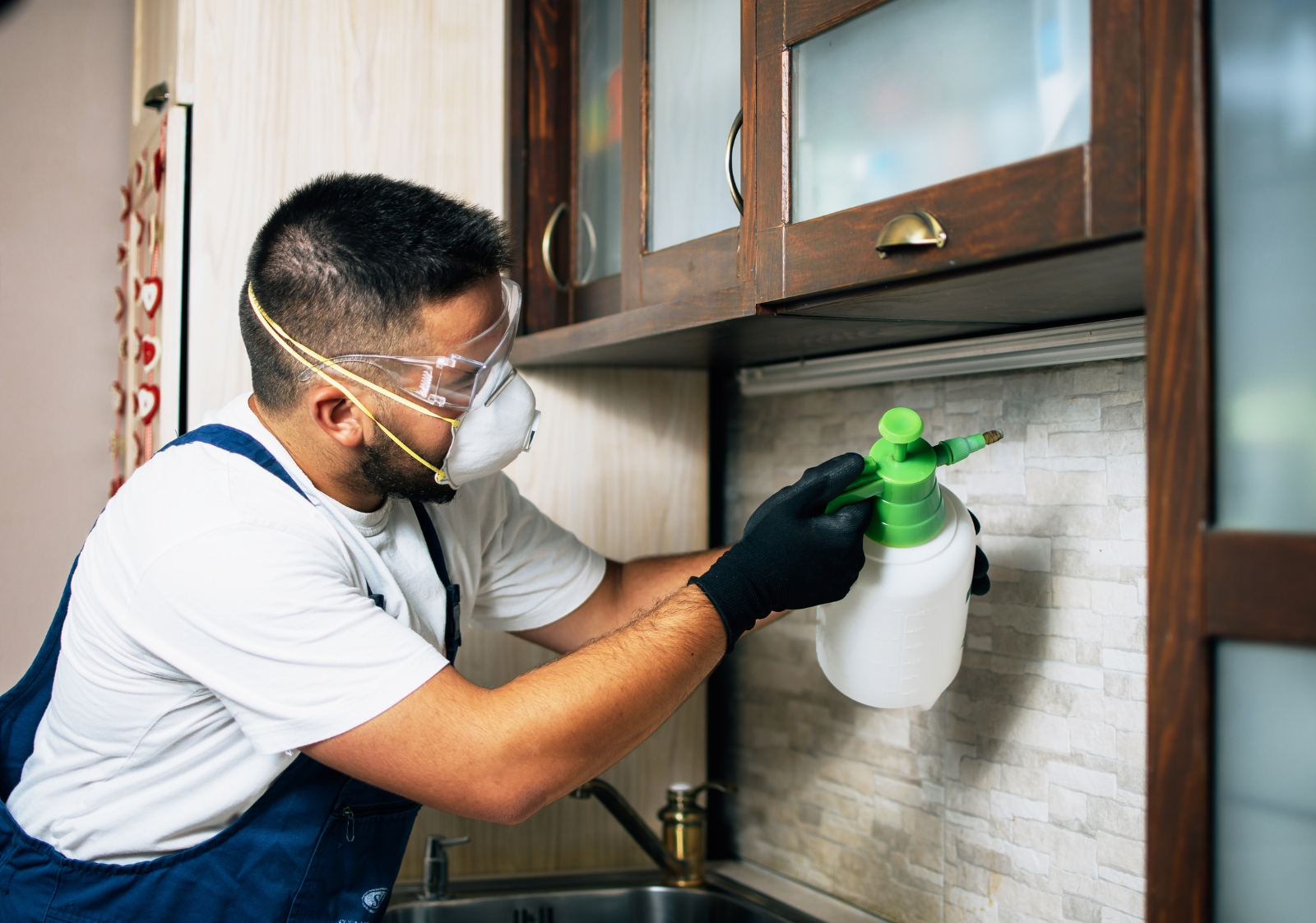 Best Seven Pest Control Service Tips for Gulshan Area