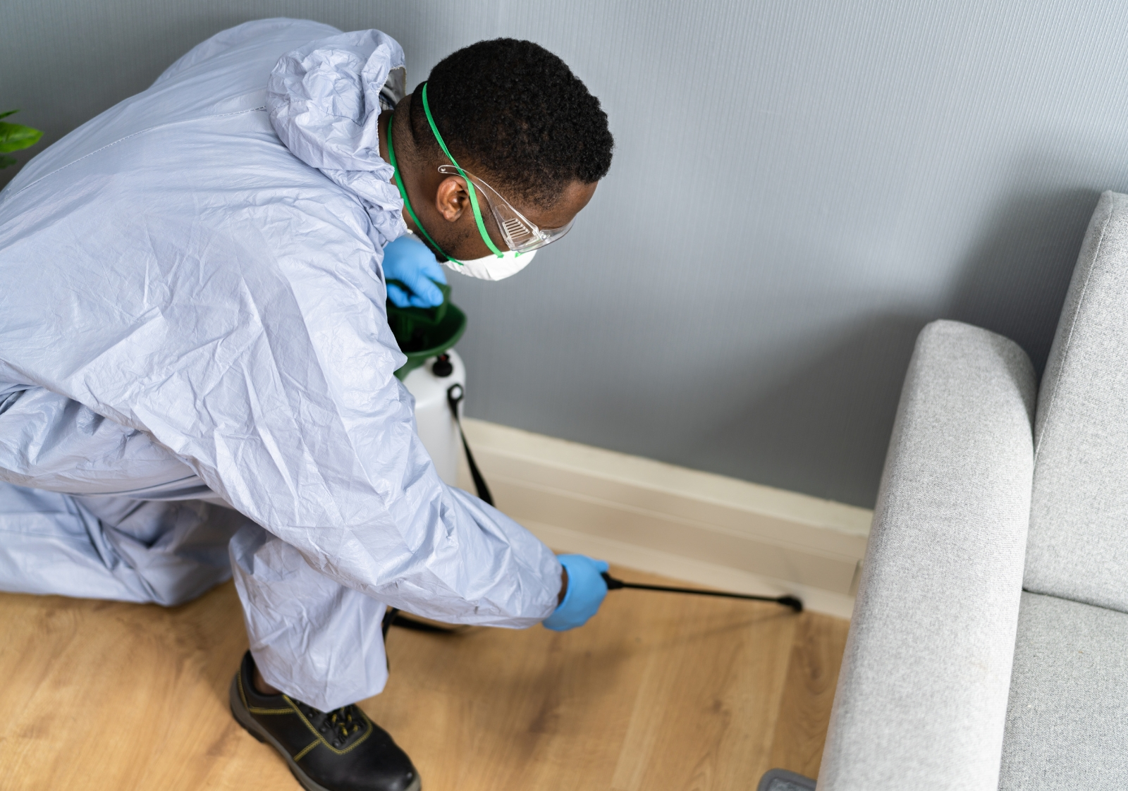 Pest Control in Karachi: Expert Solutions for Homes 2026