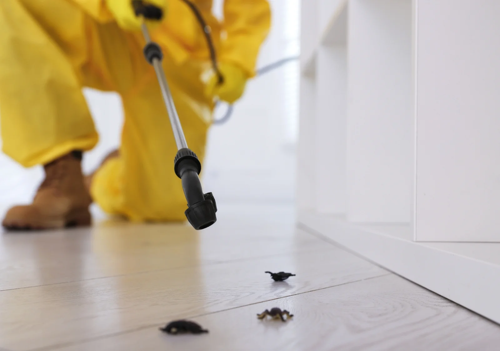 Bed Bug Control in Karachi: Fast Relief for Homes Today