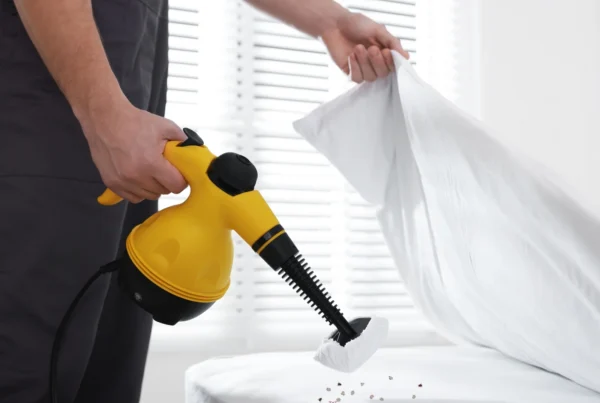 bed bugs treatment
