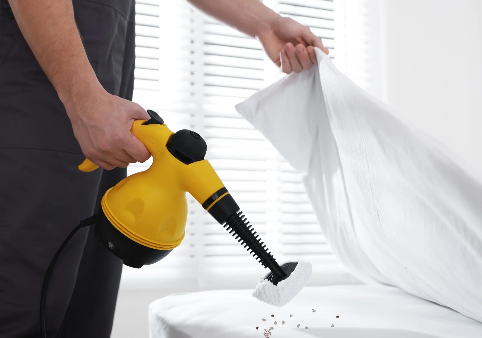 How to Get Bed Bugs Treatment Karachi: Expert Guide