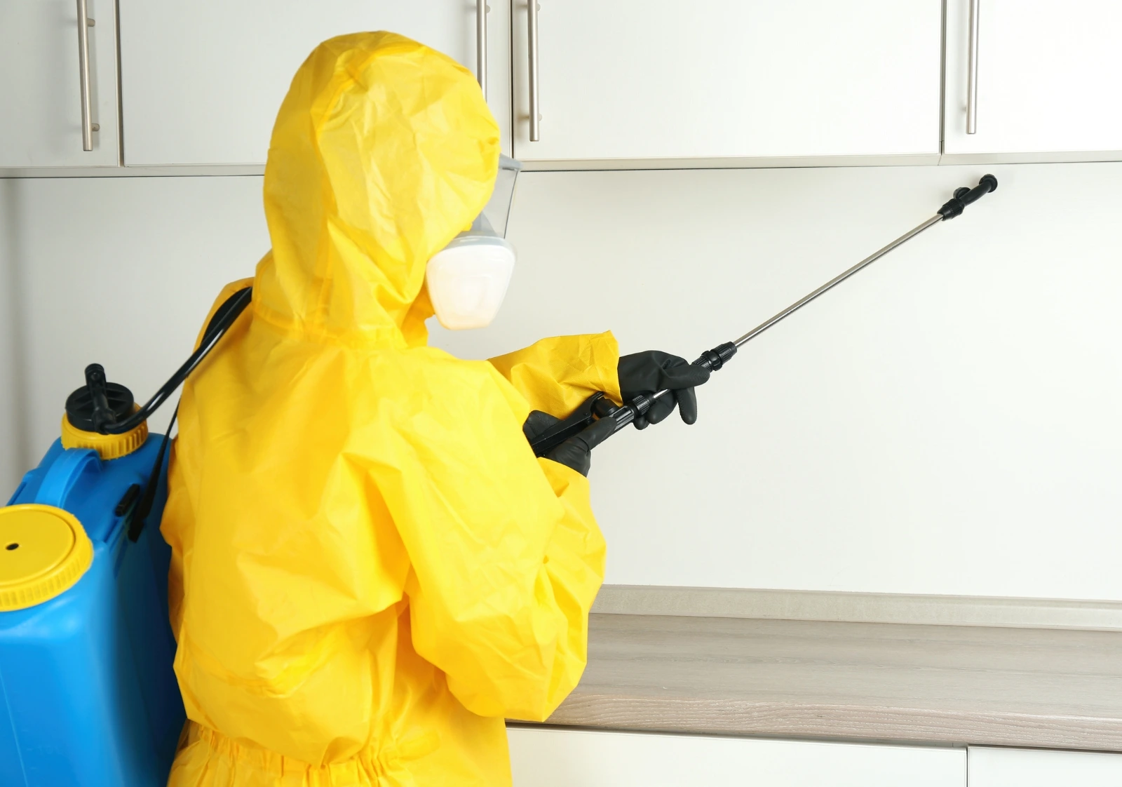 Top Pesticide Control Solutions in Karachi for 2026.