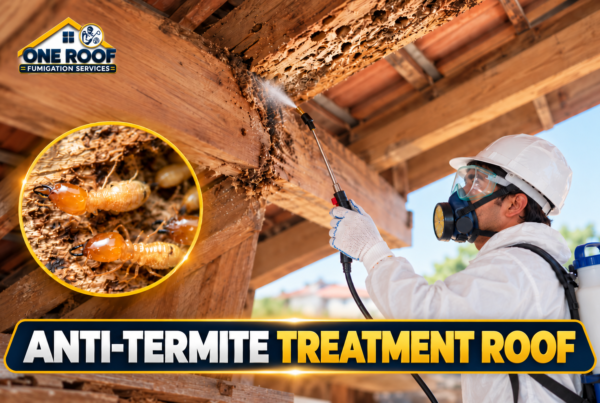 Anti-Termite Treatment Roof